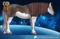 Horse Color:Gray Painted Bay Splash 