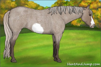 Horse Color:Silver Grullo Roan Frame 