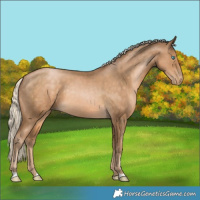 Horse Color:Chocolate Palomino Pearl
