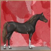 Horse Color:Liver Chestnut Tobiano 