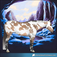 Horse Color:Bay Dun Sabino 