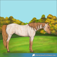 Horse Color:Red Roan 