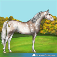 Horse Color:White Spotted Liver Red Onyx Pearl Mushroom Sabino Rabicano 