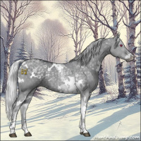 Horse Color:White Spotted Silver Grullo Chinchilla Tobiano Rabicano 
