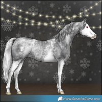Horse Color:White Spotted Silver Black Chinchilla Ice Splash Rabicano 
