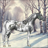 Horse Color:White Spotted Silver Black Chinchilla Tobiano Rabicano 