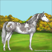 Horse Color:Platinum White Spotted Liver Red Dun Splash 