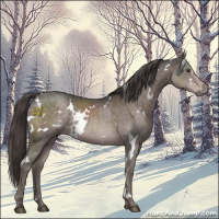 Horse Color:Platinum White Spotted Liver Chestnut Rabicano 