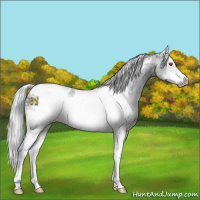 Horse Color:White Spotted Silver Black Chinchilla Tobiano Frame 