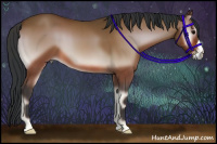 Horse Color:Bay Onyx 