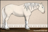 Horse Color:Cremello Tobiano 