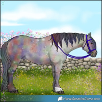 Horse Color:Nacre Brown Dun 