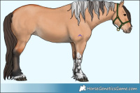 Horse Color:Bay Dun  and Bay Dun Tobiano 