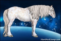 Horse Color:Silver Amber Champagne Roan Onyx Appaloosa Rabicano 