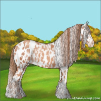 Horse Color:Gold Champagne Leopard  and Gold Champagne Leopard 