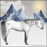 Horse Color:Gray Grullo Roan 
