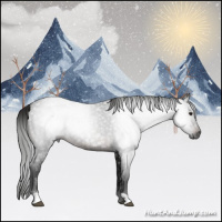 Horse Color:Gray Brown Roan 
