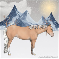 Horse Color:Silver Amber Champagne 