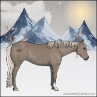 Horse Color:Silver Smoky Grullo