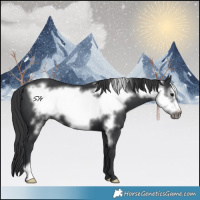 Horse Color:Black Frame 