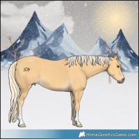 Horse Color:Palomino 
