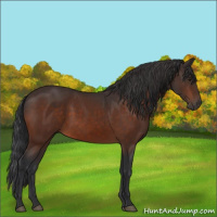 Horse Color:Brown 