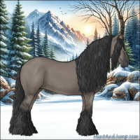 Horse Color:Grullo