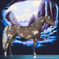 Horse Color:White Spotted Silver Brown Dun 