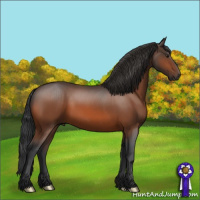 Horse Color:Brown 