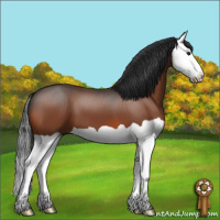 Horse Color:Brown Splash 