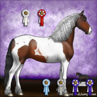 Horse Color:Brown Tobiano 