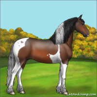 Horse Color:Brown Tobiano 