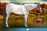 Horse Color:Liver Red Roan Tobiano