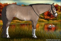 Horse Color:White Spotted Liver Red Dun Roan 