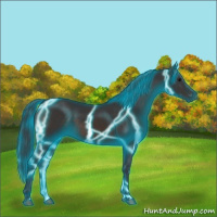Horse Color:Thunderstruck Brown 