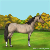 Horse Color:Buckskin Roan Dun Tobiano 