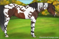 Horse Color:Brown Tobiano 