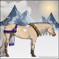 Horse Color:White Spotted Silver Bay Dun 