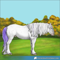 Horse Color:Gray Watercolor Classic Champagne Onyx Sabino 