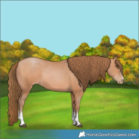 Horse Color:White Spotted Brown Pearl 