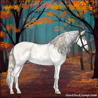 Horse Color:White Spotted Perlino Roan Splash Appaloosa 