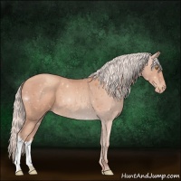 Horse Color:Silver Sable Champagne Appaloosa 