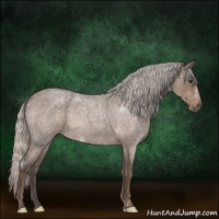 Horse Color:Silver Blue Roan