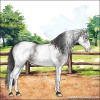 Horse Color:White Spotted Grullo 