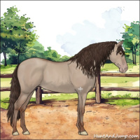 Horse Color:Classic Champagne Dun 