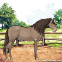 Horse Color:Classic Champagne 