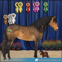 Horse Color:Buckskin