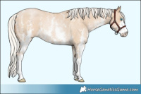 Horse Color:Silver Smoky Black Pearl Sabino Rabicano 