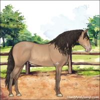 Horse Color:Amber Champagne Rabicano 