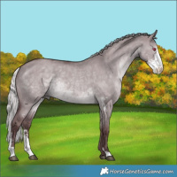 Horse Color:Chocolate Silver Grullo Chinchilla Sabino Rabicano 